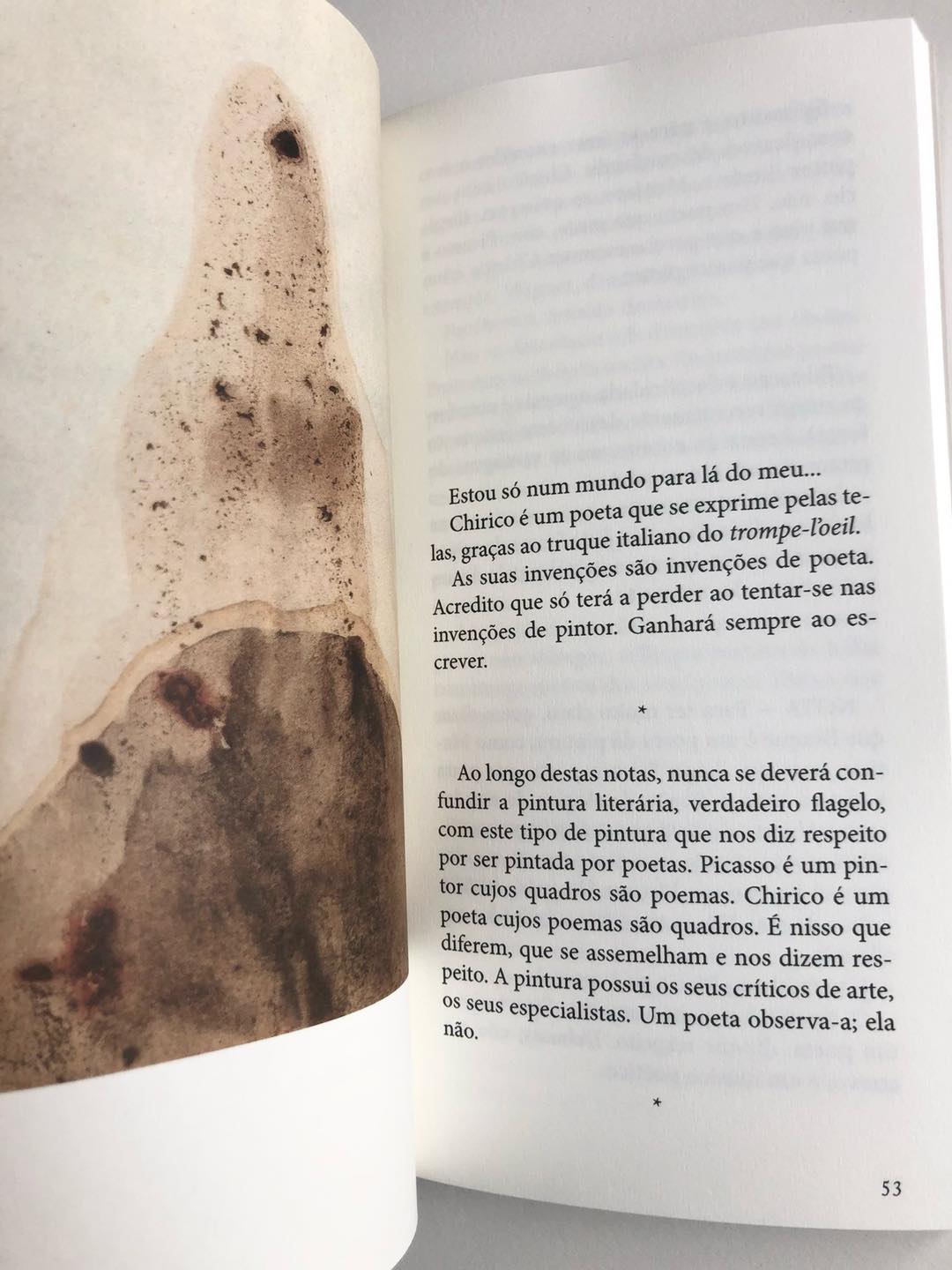 Ensaio de Crítica Indirecta