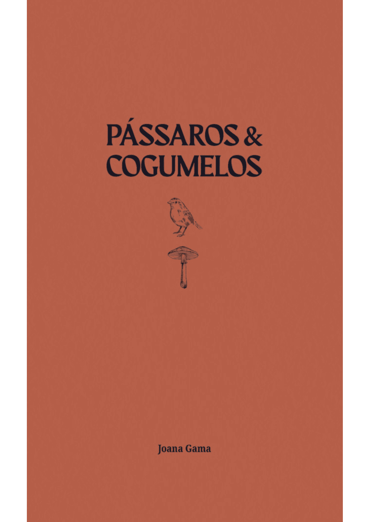 Pássaros & Cogumelos