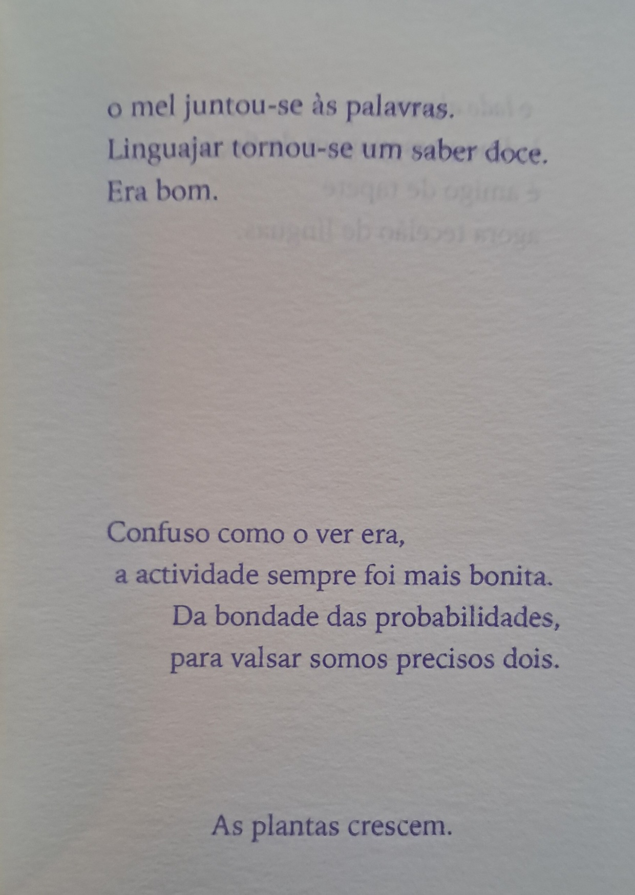 Ó – Olhares