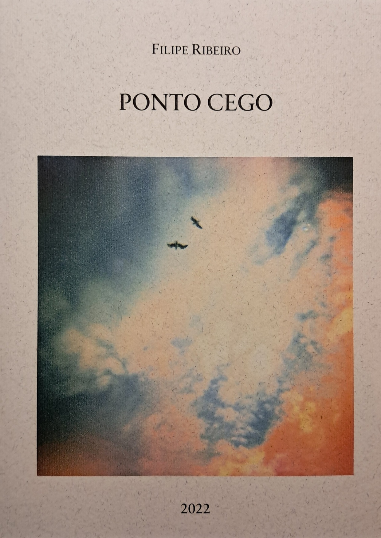 Ponto Cego